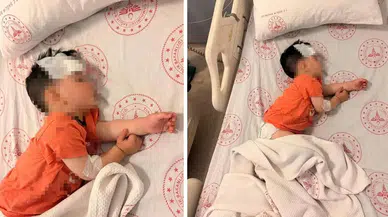 Şanlıurfa'da sokak köpeklerinin saldırdığı 1 buçuk yaşındaki çocuk yaralandı