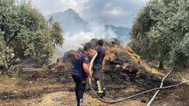 Osmaniye’de bahçedeki binden fazla saman balyaları yandı : 15 zeytin fidanı zarar gördü