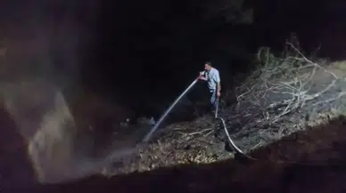 Zonguldak'ta Gümeli baraj yolu üzerinde otluk yangını çıktı