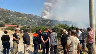 Aydın'da zeytinlik ve otluk alanda yangın çıktı