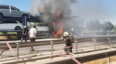 Şanlıurfa Viranşehir'de otomobil yüklü tır alev alev