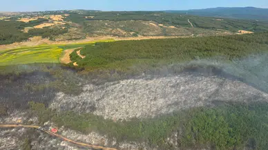Tekirdağ Malkara'da orman yangını