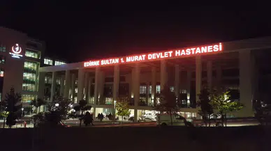 Edirne İpsala'da bir ahıra yıldırım düştü : 3 hayvan telef oldu, çiftlik sahibi yaralandı