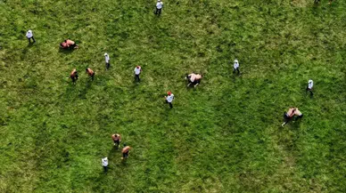 665. Tarihi Kırkpınar Yağlı Güreşleri'nde ikinci gün müsabakaları başladı