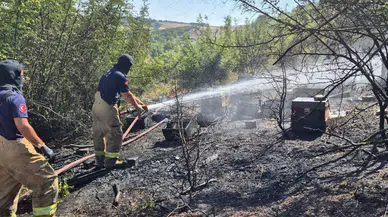 Balıkesir'de çalılık yangını : 85 arı sandığı küle döndü