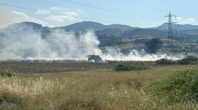 Samsun Tekkeköy'de samanlıkta yangın paniği : Alevler büyümeden söndürüldü