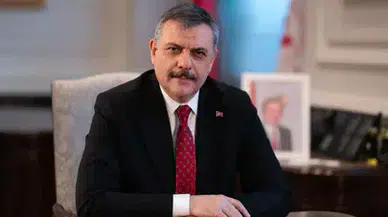 Sokak hayvanlarının yüzde 92,35'i barınaklarda