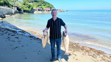 Sinop'ta balıkçıların yüzü güldü : 8,5 kiloluk kötek balığı ağa takıldı