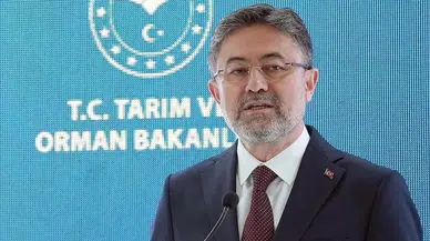 '169 yangından 163'ü kontrol altında'