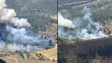 Bursa Büyükorhan'da orman yangını