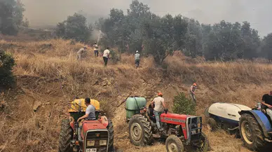 Gömeç ve Ayvalık'ta orman yangını