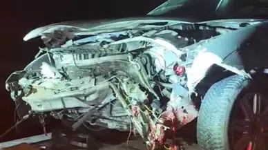 Erzurum'da otomobil domuz sürüsüne çarptı : 9 yaban domuzu telef oldu