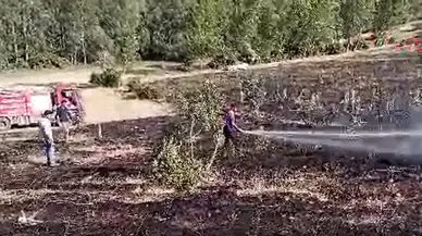Tokat Yeşilyurt'ta örtü yangını : 15 dönümlük alan küle döndü