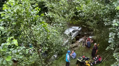 Trabzon Sürmene'de kamyon fındık bahçesine yuvarlandı