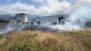 Hatay İskenderun'da otluk alanda yangın