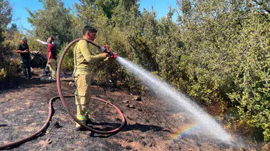 Bodrum'da makilik alanda yangın : Çevredeki evlere sıçramadan söndürüldü