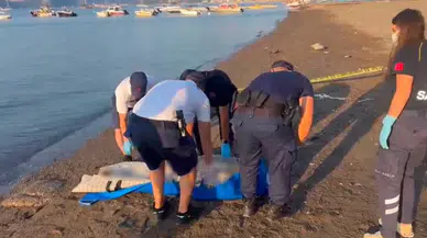 Marmaris'te denizde erkek cesedi bulundu : Boğulma ihtimali üzerinde duruluyor