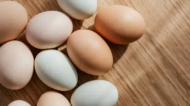 ABD'de milyonlarca yumurta geri çağrıldı : Gerekçe salmonella bakterisi