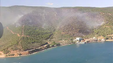 Gemlik'te alev kapanında kalan ekipler yangını 5 saatte kontrol altına aldı