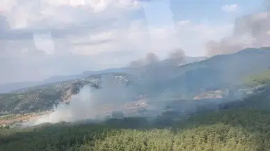 Tarım arazisinde çıkan yangın ormana sıçradı