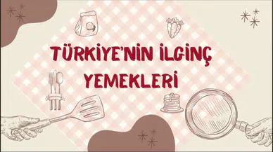 Türkiye'nin ilginç yemekleri