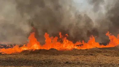 Edirne'de buğday tarlasında yangın çıktı