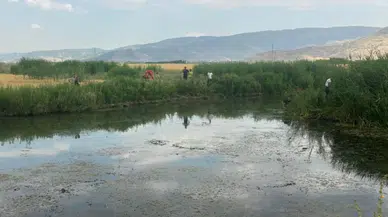 Muş'ta dereye düşen genç ile onu kurtarmak isteyen kuzeni öldü