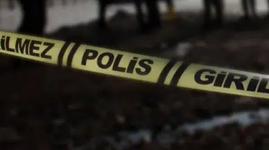 Samsun'da yaşlı adam kestiği ağacın altında kalıp hayatını kaybetti
