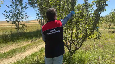 Bayburt’ta hasat öncesi sıkı pestisit denetimleri başladı