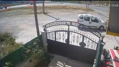 Yalova'da motosiklet faciası : Evli çift öldü