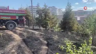Ankara'da otluk alanda yangın çıktı