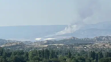Denizli'de Hierapolis Antik Kenti yakınlarında yangın