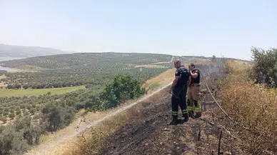 Hatay'da anız yangını itfaiye tarafından söndürüldü