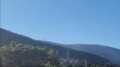 Isparta Eğirdir'de yangın : 10 hektarlık alan zarar gördü