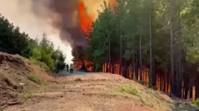 Muğla Seydikemer'deki orman yangınına havadan ve karadan müdahale sürüyor