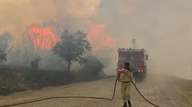 Çanakkale Biga'daki orman yangını kontrol altına alındı
