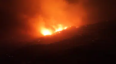 Aydın Çine'de yangın : Ekiplerin müdahalesi devam ediyor