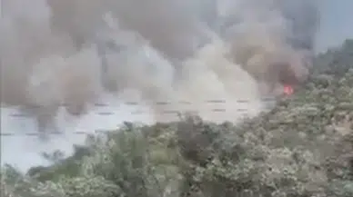 Balıkesir Edremit'te ormanlık ve zeytinlik alanda yangın