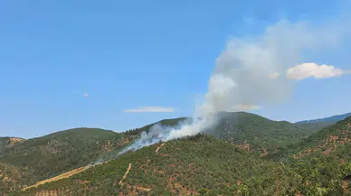 Balıkesir Burhaniye'de çıkan orman yangını kontrol altına alındı