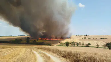 Kırklareli Babaeski'de buğday tarlasında yangın : 600 dönüm arazi zarar gördü