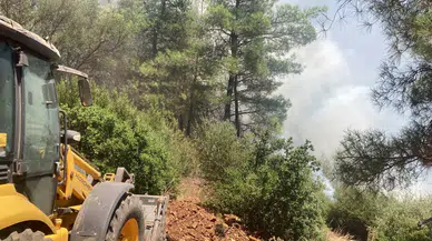 Bodrum'da ormanlık alanda yangın : Ekiplerin 1 saatlik çalışmasıyla söndürüldü