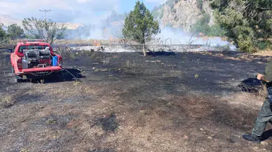 Bilecik'te elektrik direğinden yangın çıktı, 3 dönümlük alan yok oldu