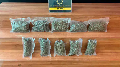 Şanlıurfa'da polisin durdurduğu araçtan uyuşturucu çıktı : 1 tutuklama