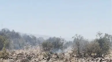 Gaziantep’te korkutan orman yangını : Bölgeye çok sayıda ekip sevk edildi