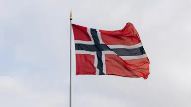 Norveç'te orman yangınları : 80 hektarlık alan alev alev