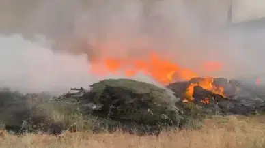 Bingöl'de orman yangını çıktı