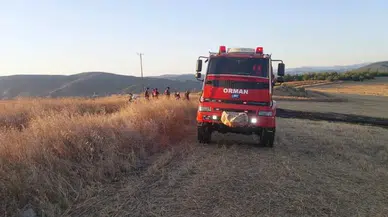 Sinop Saraydüzü ilçesinde çıkan anız yangını söndürüldü