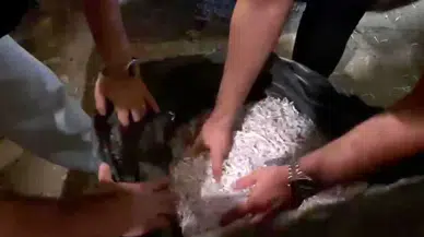 Alihan Kuriş soruşturmasında evrak imha ihbarı doğrulandı