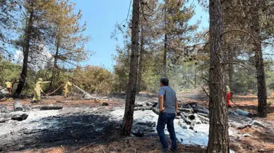 Gaziantep'te bir dönüm ormanlık alan kül oldu