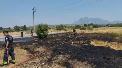 Datça'da kuru otlar alev aldı : Yangın büyümeden sönsürüldü